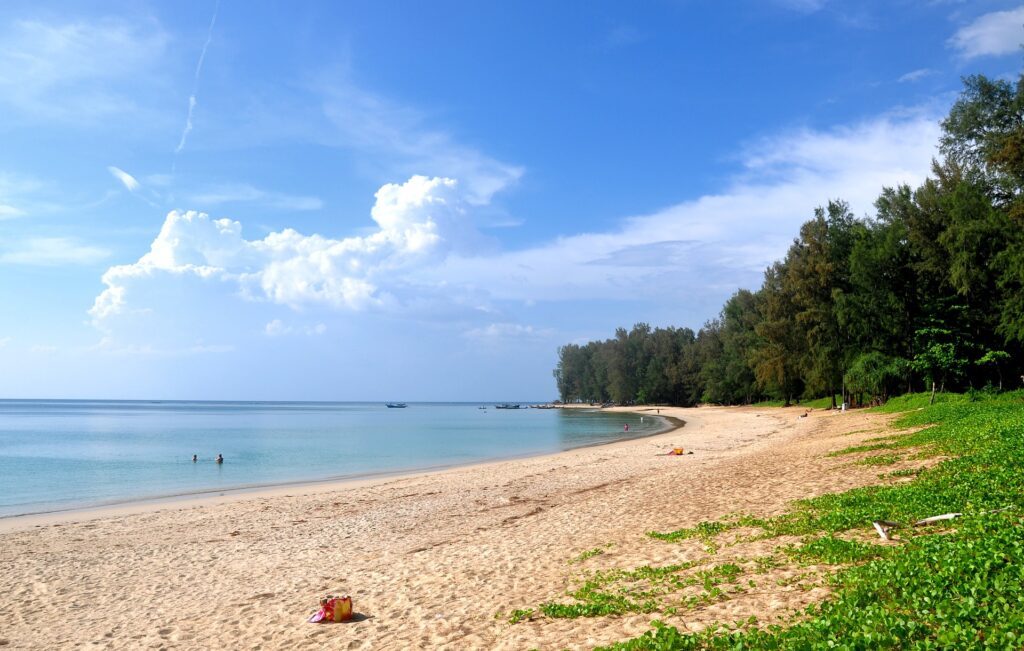 cannabis business in Phuket