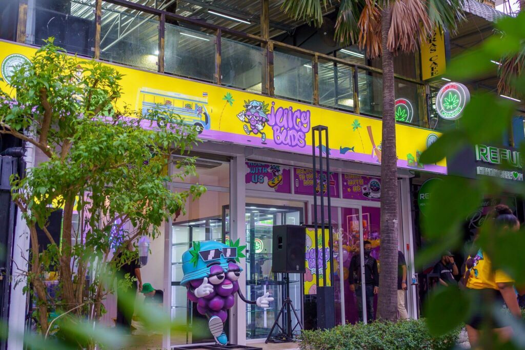 cannabis dispensary in Phuket