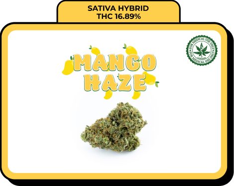 Mango Haze