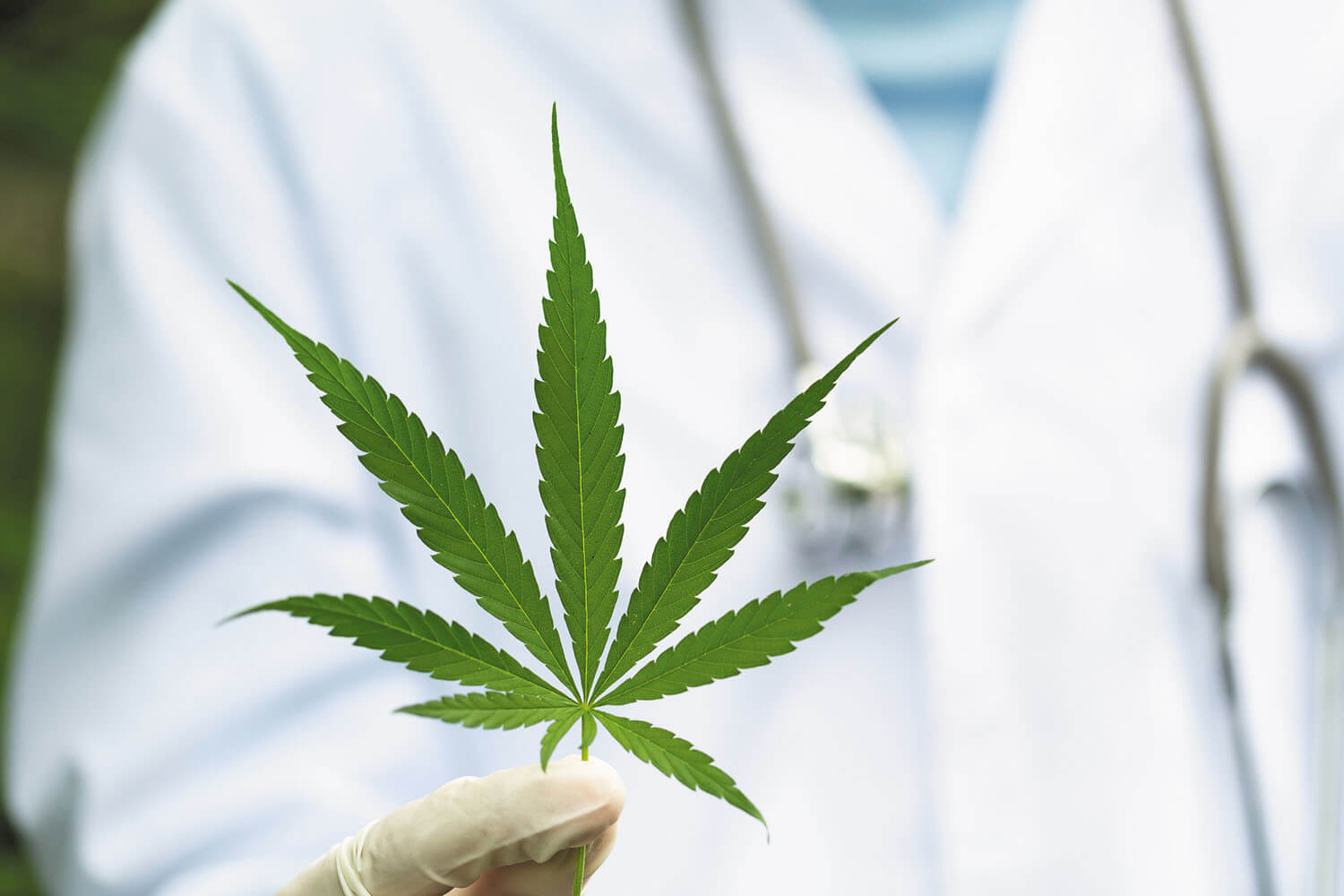 medical marijuana clinics in Phuket in 2024