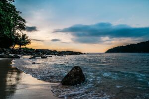 Phuket cannabis scene