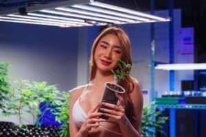 weed store near me in Phuket