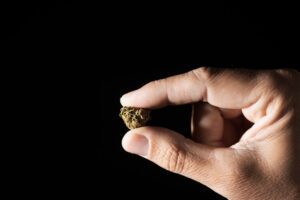 Medical Cannabis Dosing